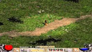 How To Play Diablo 2 *Detailed* Review