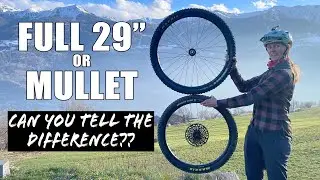 Full 29