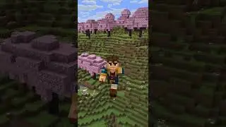 Вы НЕ Знали Эти Лайфхаки  #minecraft #майнкрафт #shorts