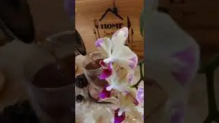 Мое утро начало 😊 ОСТАЛЬНОЕ В ИНСТАГРАМ @irina_bagira_orchids