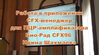 Работа в приложении CFX-менеджер для ПЦР амплификатора Bio-Rad CFX96. Ирина Шахмаева. Ч. 3