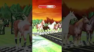 Epic Horse Race, African Horse, Arabian Horse, Farm Horse, #Shorts