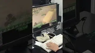 Зачем прогеймеры StarCraft 2 так много кликают?