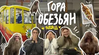 БУДНИ В ЯПОНИИ: мы уехали в горы искать обезьян / японские макаки и токийский снегопад