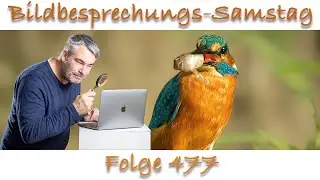 Bildbesprechung 477