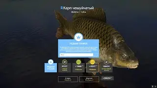 Редкий Трофей Карп Чешуйчатый на оз. Янтарное - Русская Рыбалка 4