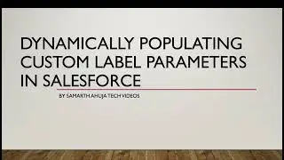 Dynamically populating custom label parameters in Salesforce