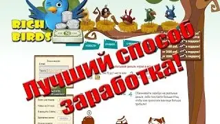 Rich Birds , как зарегистрироваться в Рич бёрдс