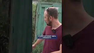Игры кончились. Бомжи отобрали площадку у детворы | ДПГ. Неделя