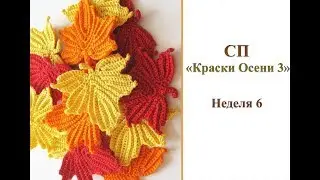 СП 