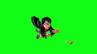 Harry Potter Snitch catch Green Screen Video