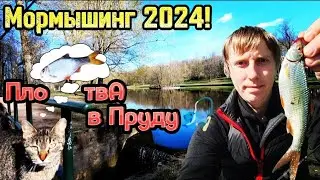 Мормышинг 2024! Плотва в Пруду🎣