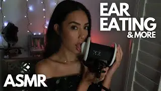 ASMR Ear Eating / Ear Noms / Ear Licking / Ear Massage ! 👅👂