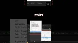 3D Flip Text Animation After Effects #tutorial