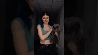 Котик сбежал из новой квартиры 