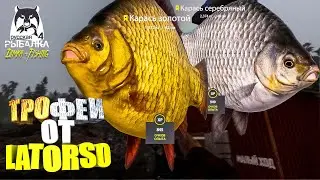 Русская рыбалка 4.🎣🦈 Ладожское оз. 🐳🐳... 💦 ТРОФЕИ от LATORSO 👀