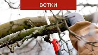 ОКТЯБРЬ РАБОТЫ В САДУ!Осенние работы в саду.