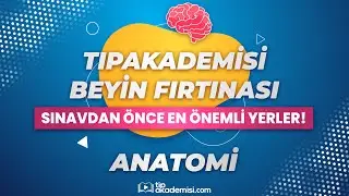 TIPAKADEMİSİ BEYİN FIRTINASI - TUS Anatomi (Sınavdan Önce En Önemli Yerler!)