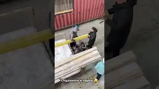 Дома из морских контейнеров