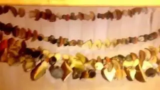 Сушка грибов в бане