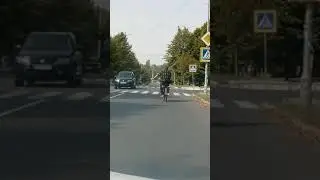 Собака на чиле, на расслабоне 🐶😹 Не могу остановить смех 🐕🐾 