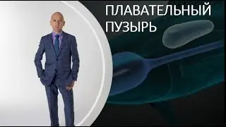 22. Плавательный пузырь