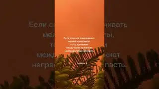 Запись на расстановки в тг @mguseva_official