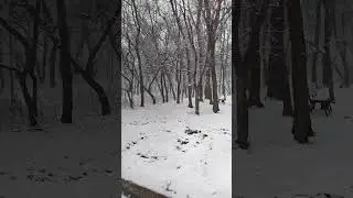 Славянск 30.03.2023
