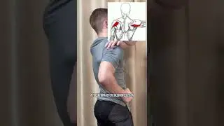 Нужно ли сводить лопатки на горизонтальной тяге?