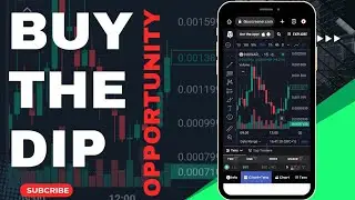 BEST TIME TO BUY ALTCOINS | ARE WE IN A BEAR MARKET OR IT'S TIME TO BUY THE DIP 