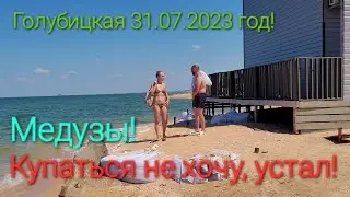 Голубицкая - МЕДУЗЫ.! Устал от этого - Купаться не хочу! 31.07.2023 г. Азовское море