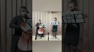 8strings where the streets have no name #хочуврек#cello #duet