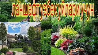 узбек уйлари учун ланшафтний проект