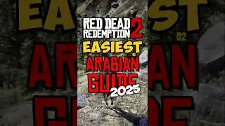 SIMPLIFIED 2025 GUIDE to the 5 Arabians 