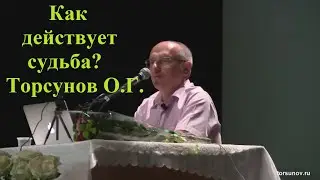 Как действует судьба? Торсунов О.Г.