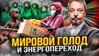 Это неизбежно! Энергопереход ЕС перетекает в МИРОВОЙ ГОЛОД