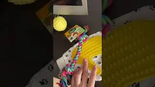 Покупки для щенка