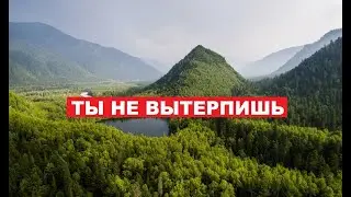 Почему жизнь бомжа и отшельника не для хиккикомори?