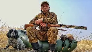 Pheasant hunting along the black trail with a Russian Spaniel dog.