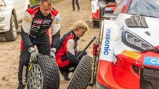 Soysambu Spectator Stage/Detailed Scenes/WRC Safari Rally 2023