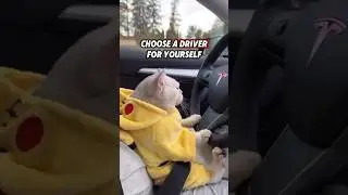 Choose A Driver, Take The Car!