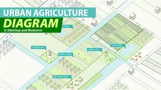 Urban Agriculture Diagram in Sketchup and Illustrator
