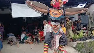 Macan-macanan Jaranan Singo Rojo Budoyo Live Dsn Kampung Anyar Gumuk Licin