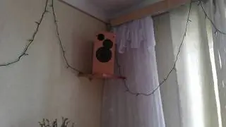 какя акустика у меня сейчас