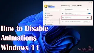 How to disable animations in Windows 11