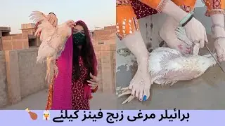 Educational Purpose Chicken slaughtered by girl