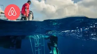 Bahamas Sabbatical | Only On Airbnb