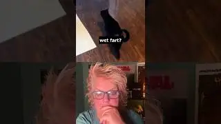 Cat meows like a wet Fart
