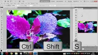 How to Use Camera Raw Bridge CS5 Photoshop