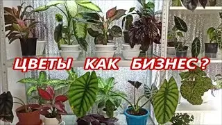 ЦВЕТЫ как БИЗНЕС 🌺 ИТОГИ ЧЕТЫРЕХ ЛЕТ ✅ Стоит ли начинать⁉️